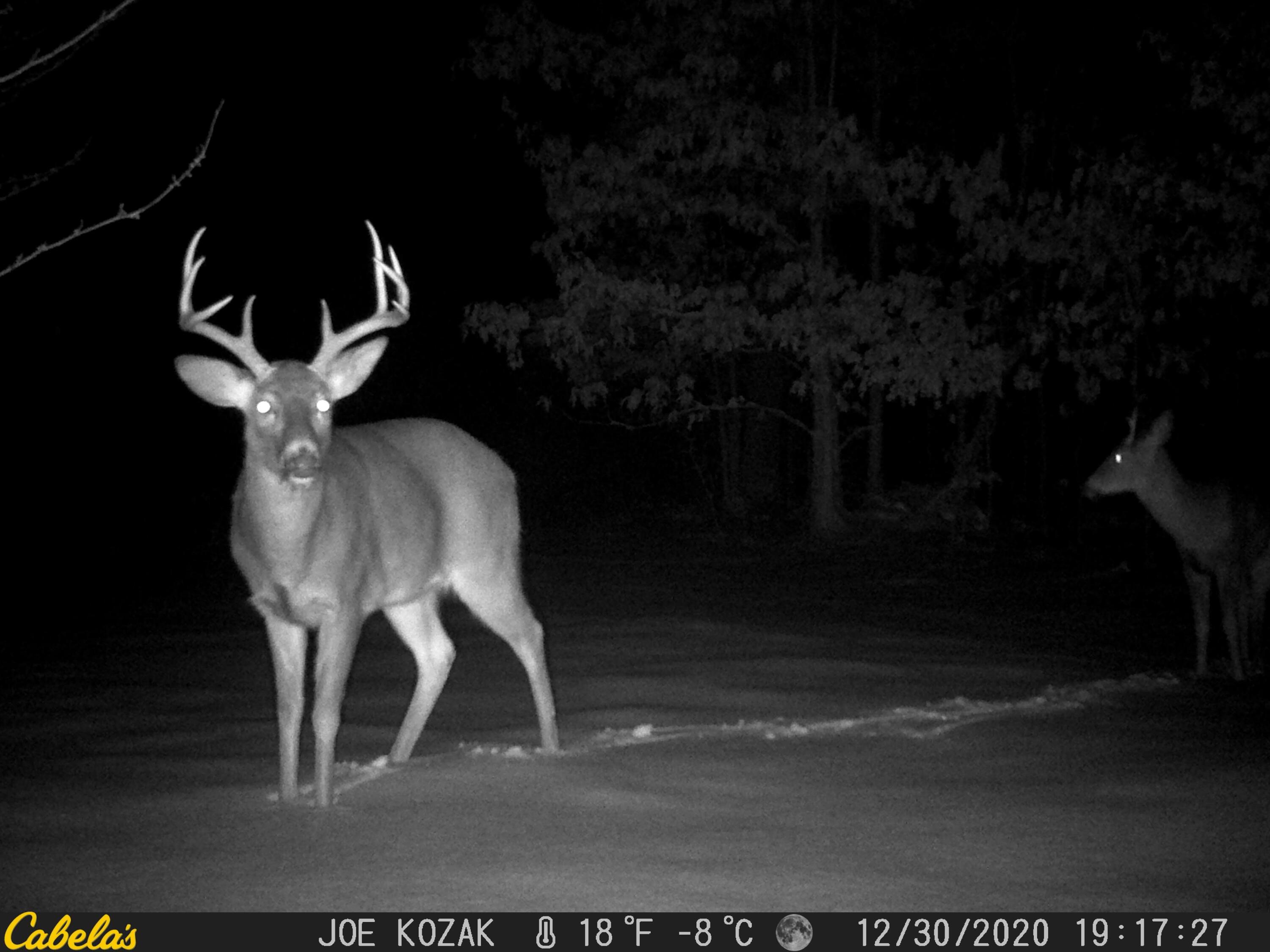7 West Mile Road Irons, MI 49644 - Photo 20 of 49 12300129