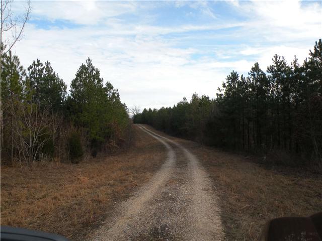 2 Poplar Springs Road Indian Mound, TN 37079 - Photo 2 of 18 Gallery Image 2