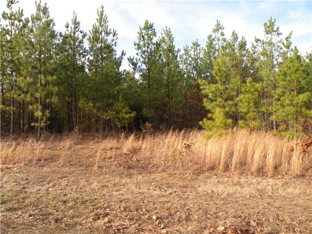 2 Poplar Springs Road Indian Mound, TN 37079 - Photo 11 of 18 Gallery Image 11