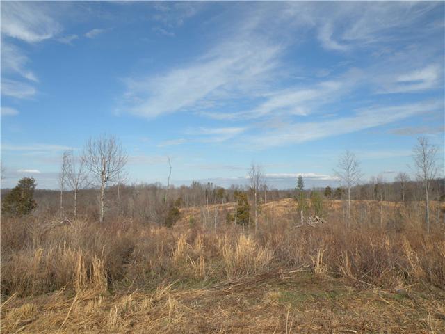 2 Poplar Springs Road Indian Mound, TN 37079 - Photo 12 of 18 Gallery Image 12