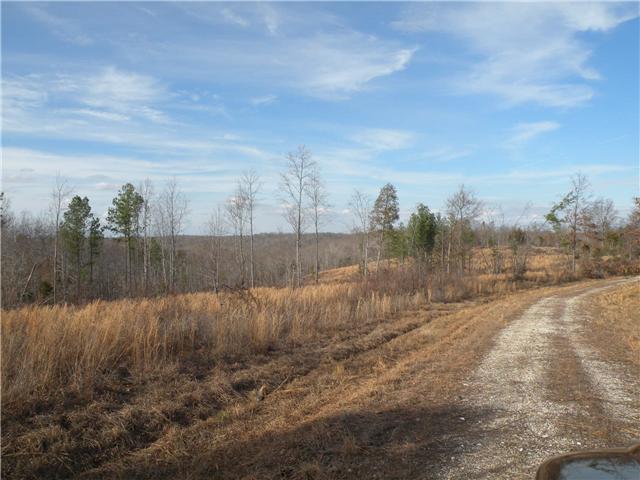 2 Poplar Springs Road Indian Mound, TN 37079 - Photo 15 of 18 Gallery Image 15