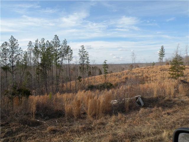 2 Poplar Springs Road Indian Mound, TN 37079 - Photo 16 of 18 Gallery Image 16
