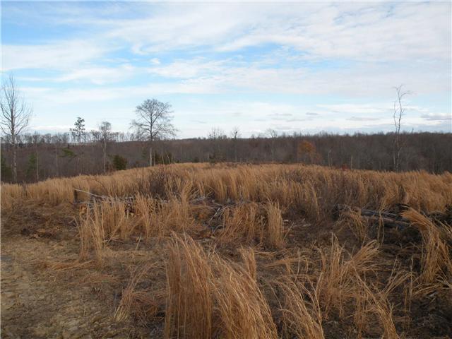 2 Poplar Springs Road Indian Mound, TN 37079 - Photo 17 of 18 Gallery Image 17