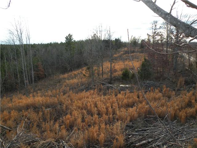 2 Poplar Springs Road Indian Mound, TN 37079 - Photo 18 of 18 Gallery Image 18