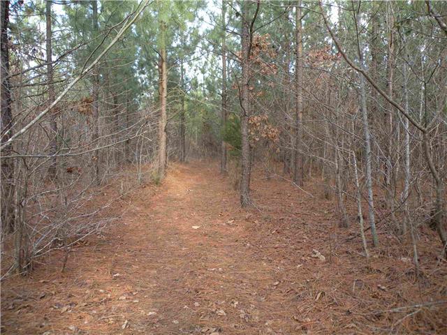 2 Poplar Springs Road Indian Mound, TN 37079 - Photo 3 of 18 Gallery Image 3