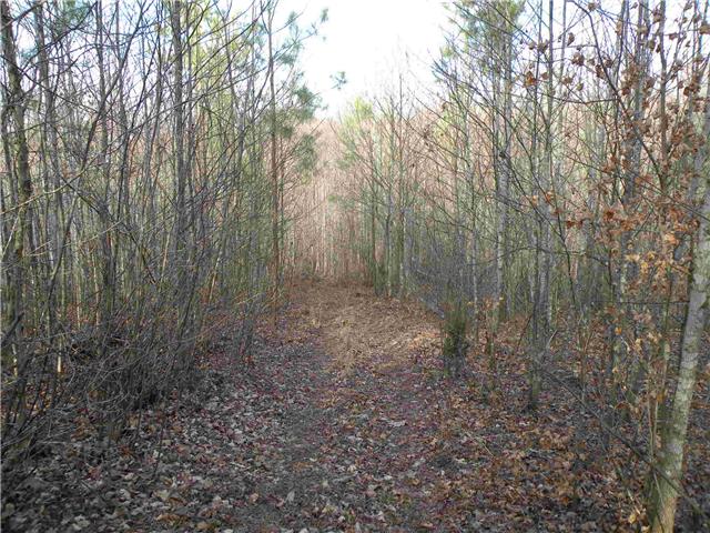 2 Poplar Springs Road Indian Mound, TN 37079 - Photo 4 of 18 Gallery Image 4