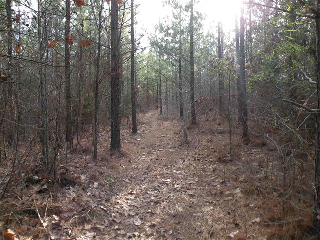 2 Poplar Springs Road Indian Mound, TN 37079 - Photo 5 of 18 Gallery Image 5