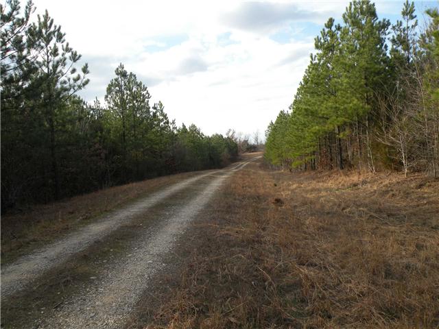 2 Poplar Springs Road Indian Mound, TN 37079 - Photo 6 of 18 Gallery Image 6
