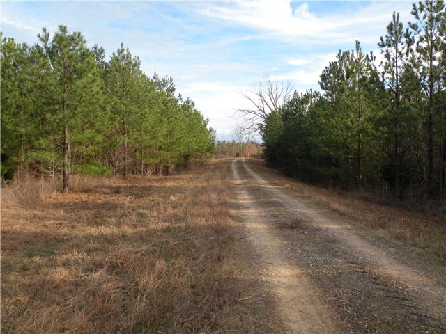 2 Poplar Springs Road Indian Mound, TN 37079 - Photo 7 of 18 Gallery Image 7