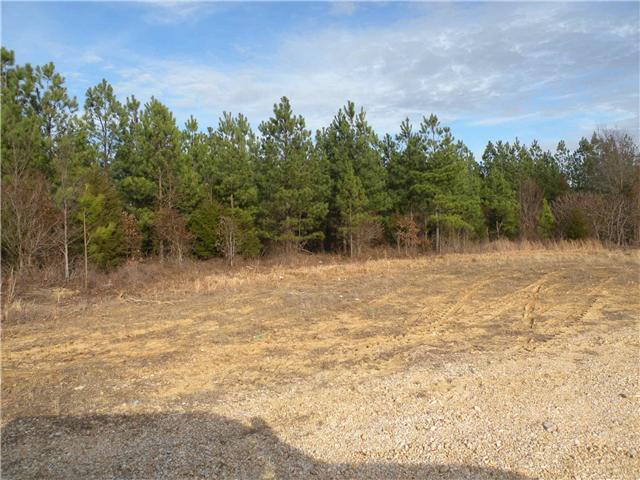 2 Poplar Springs Road Indian Mound, TN 37079 - Photo 8 of 18 Gallery Image 8