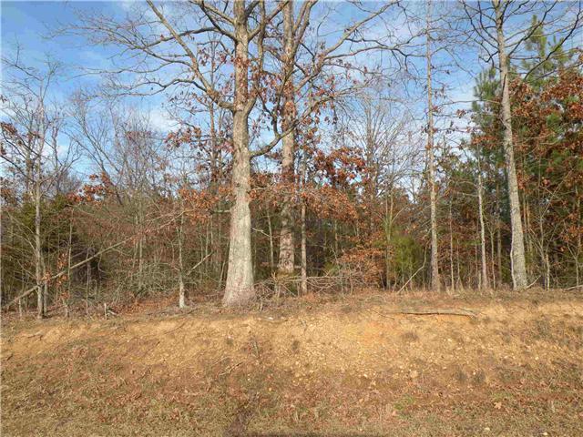 2 Poplar Springs Road Indian Mound, TN 37079 - Photo 9 of 18 Gallery Image 9