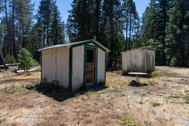 a view of a yard with plants and large trees