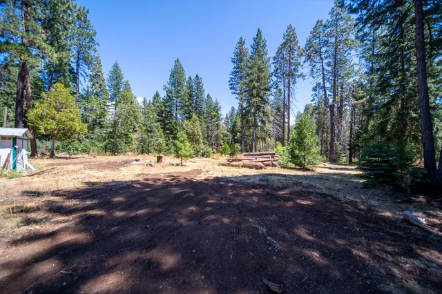 a view of outdoor space and trees