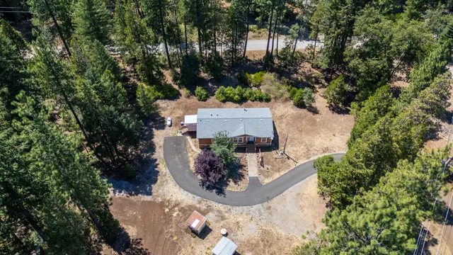 a view of a city and lush green forest