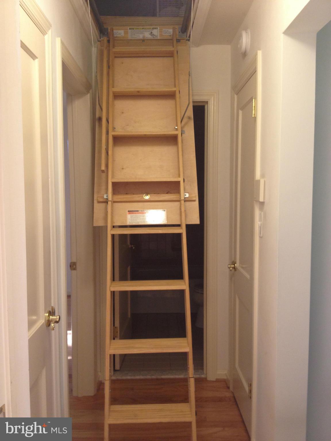 2913 Collins Avenue Silver Spring, MD 20902 - Photo 16 of 30 Interior (General)