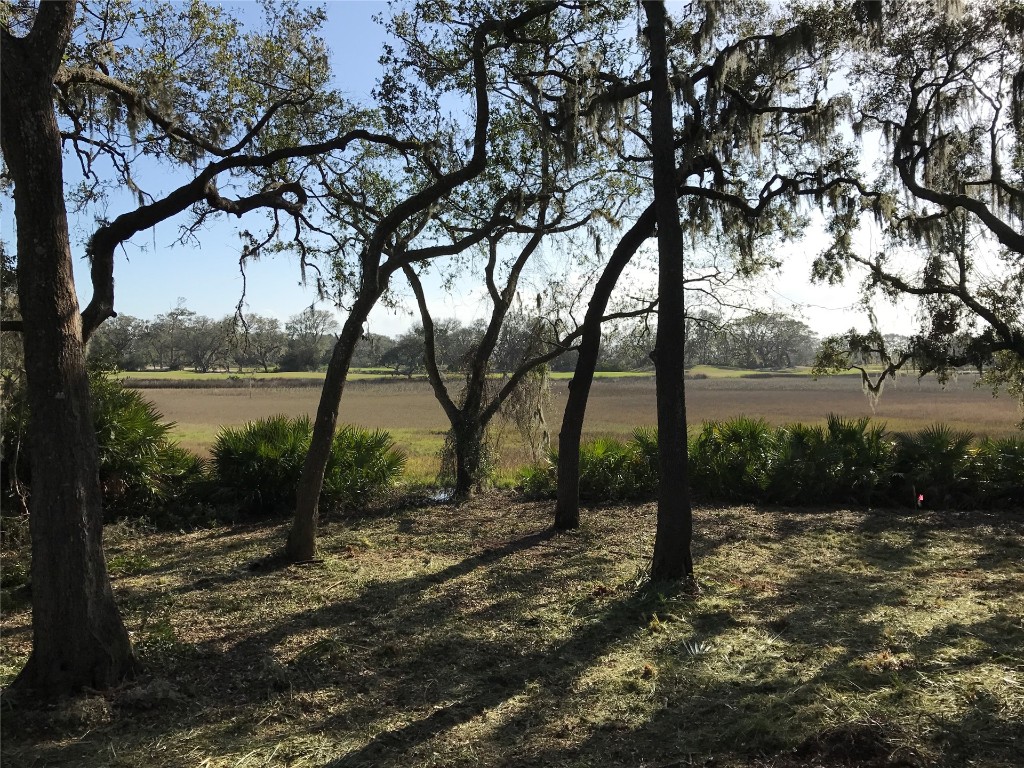 33 Marsh Hawk Road Fernandina Beach, FL 32034 - Photo 14 of 29 Gallery Image 14