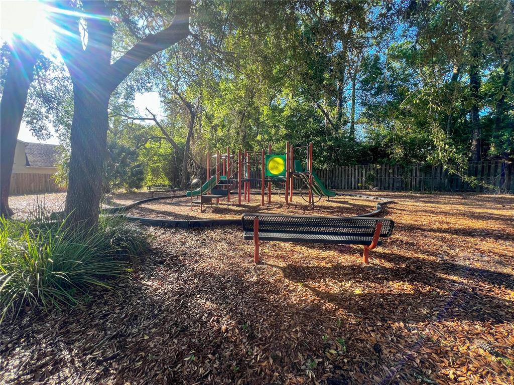 2507 Walnut Heights Road Apopka, FL 32703 - Photo 37 of 38