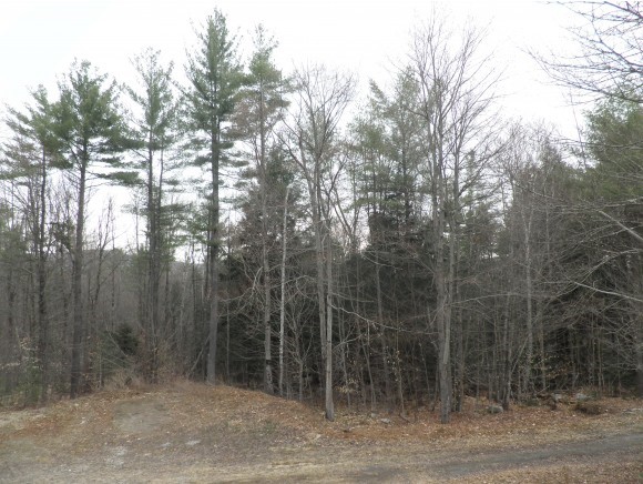 328 Snell Road Chester, VT 05143 - Photo 8 of 16