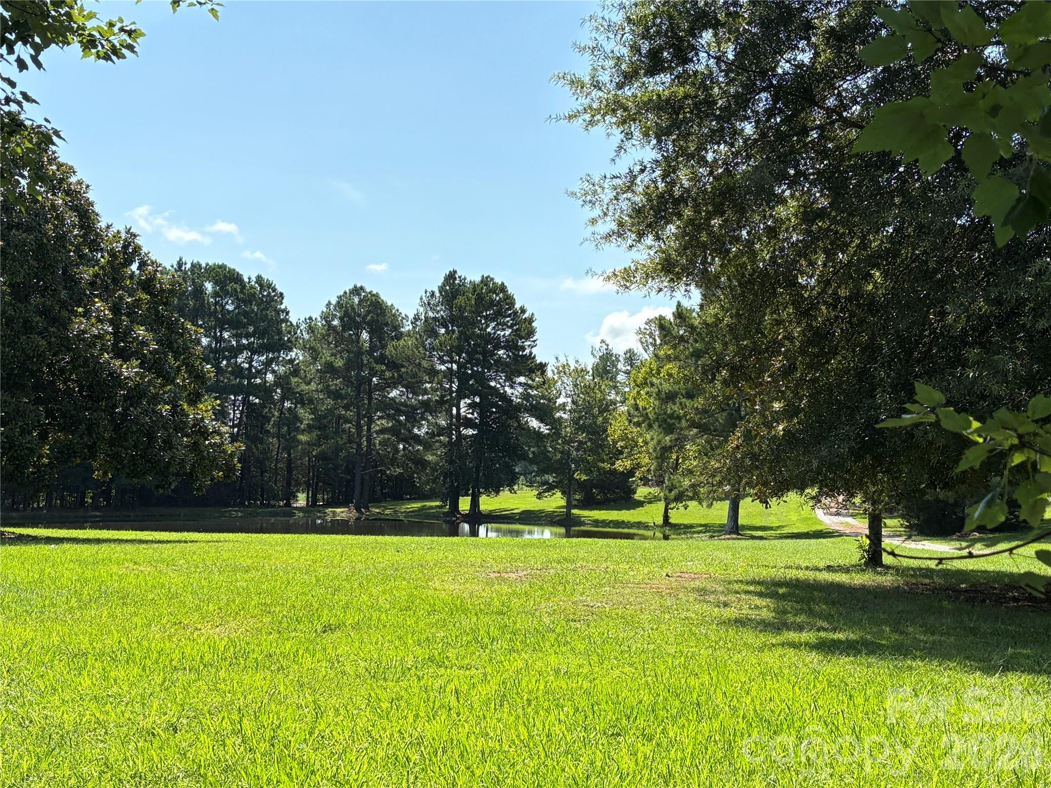 4445 Rowell Road Lancaster, SC 29720 - Photo 30 of 37 a view of green field