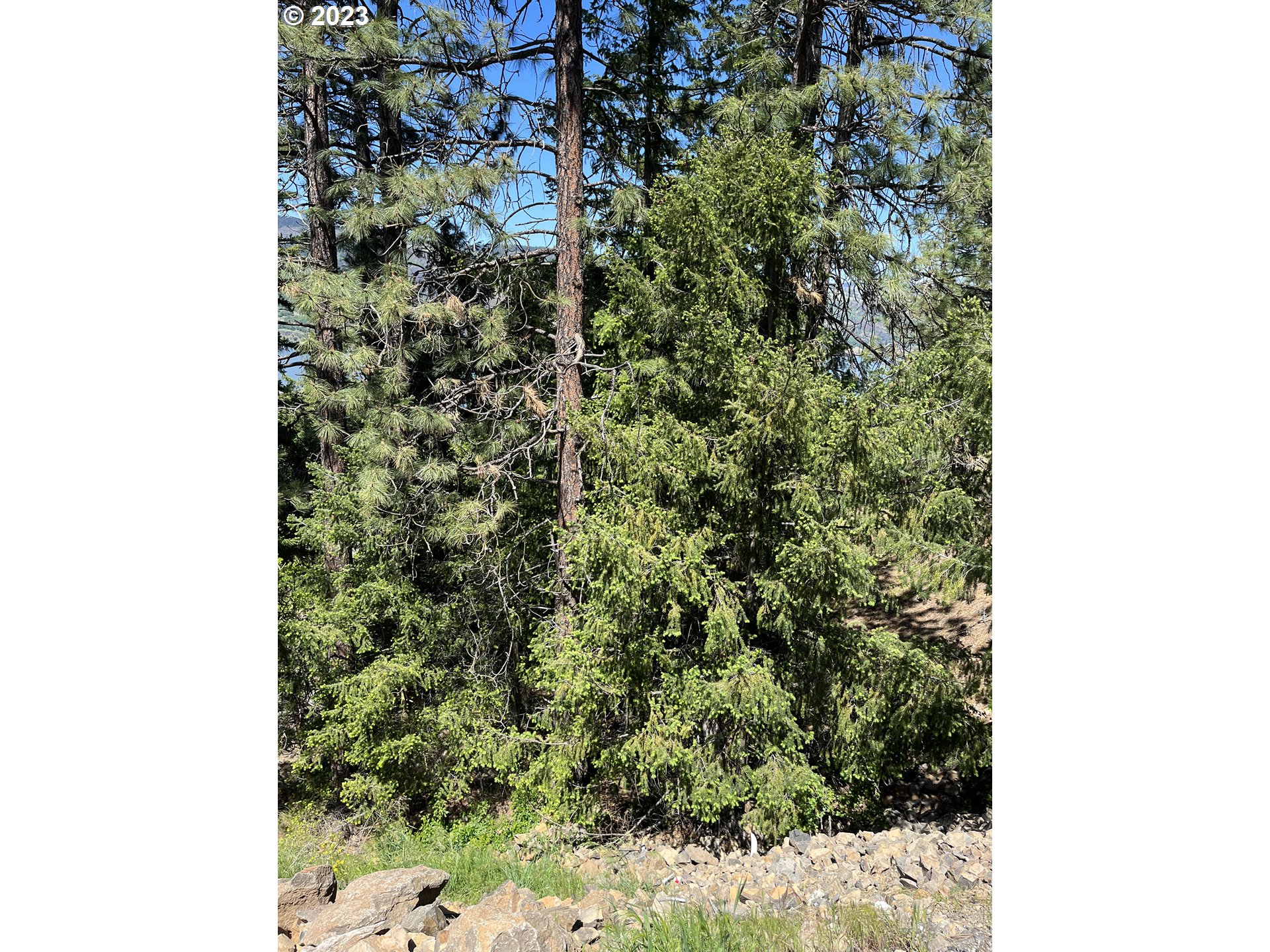 Blanchard Street, Unit 41 Mosier, OR 97040 - Photo 8 of 18
