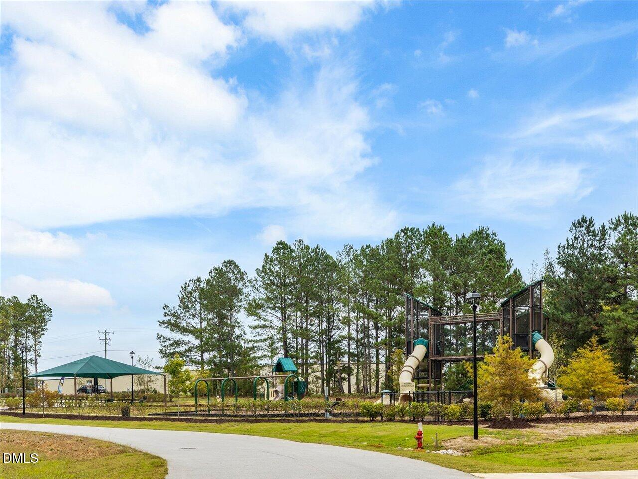 90 Barnsley Road Angier, NC 27501 - Photo 37 of 40 a view of a swimming pool and trees in the background