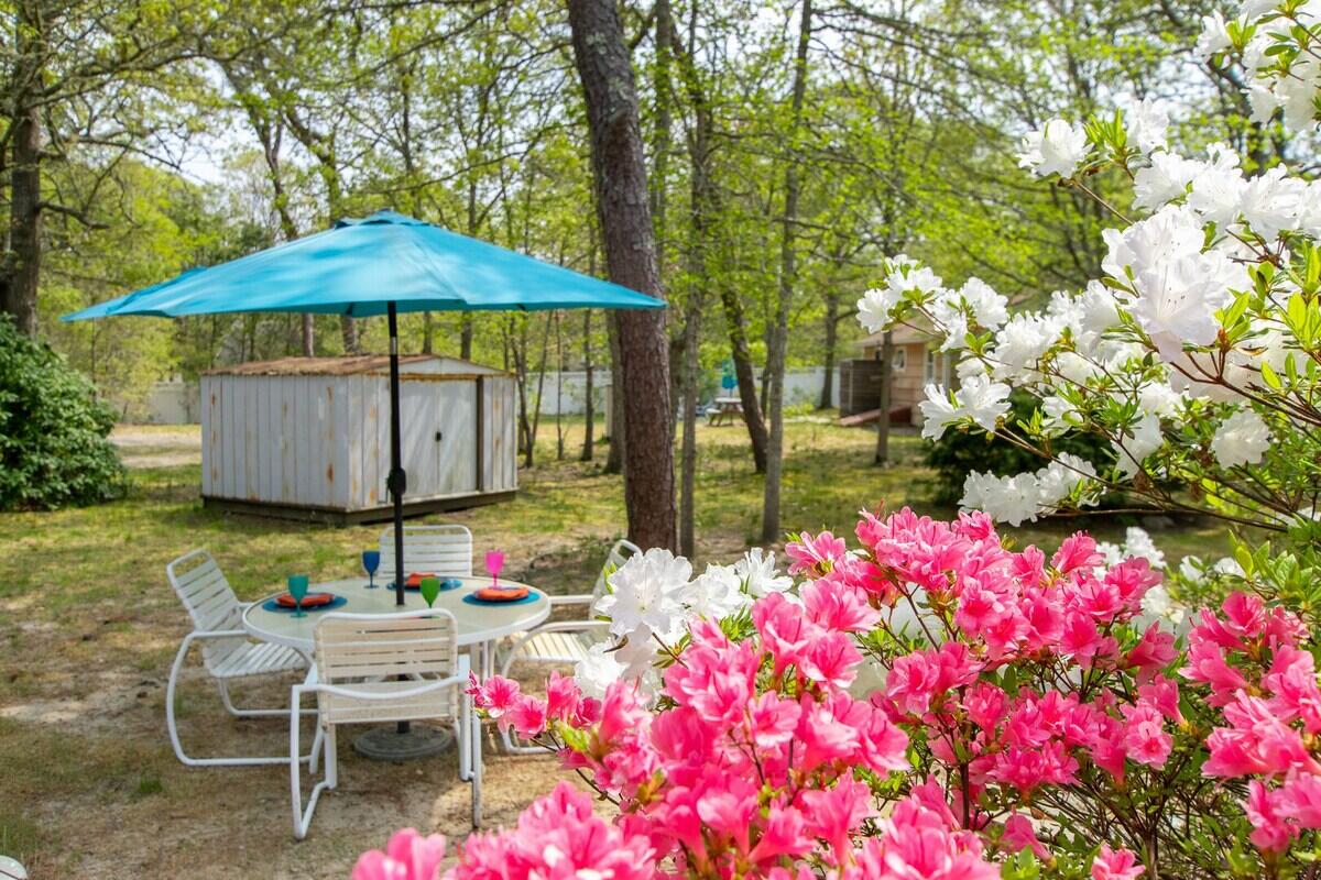 85 Boreen Road Eastham, MA 02642 - Photo 41 of 73 a patio with table and chairs under an umbrella