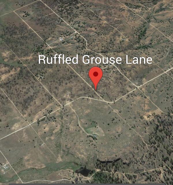 30 Ruffed Grouse Lane, Unit 29 Chiloquin, OR 97624 - Photo 10 of 25 Two tax lots side by side for this price! Keep the extra lot for family or enjoy the extra space.