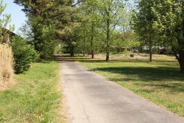 a view of backyard with green space