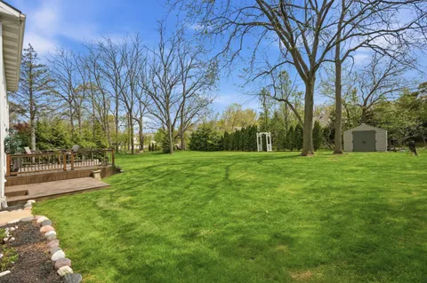 a view of a park with large trees