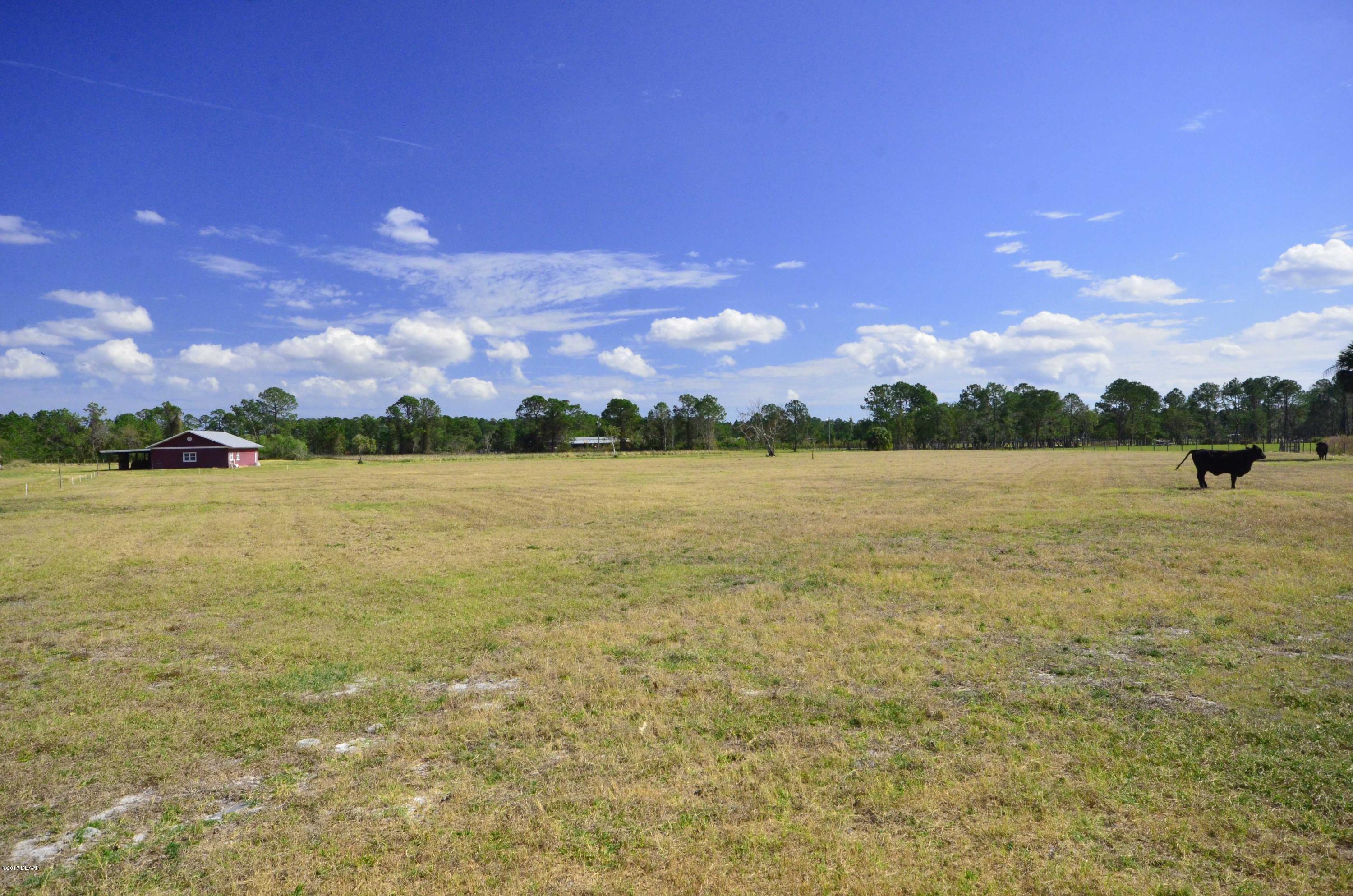 677 State Rte 415 New Smyrna Beach, FL 32168 - Photo 14 of 25 A22
