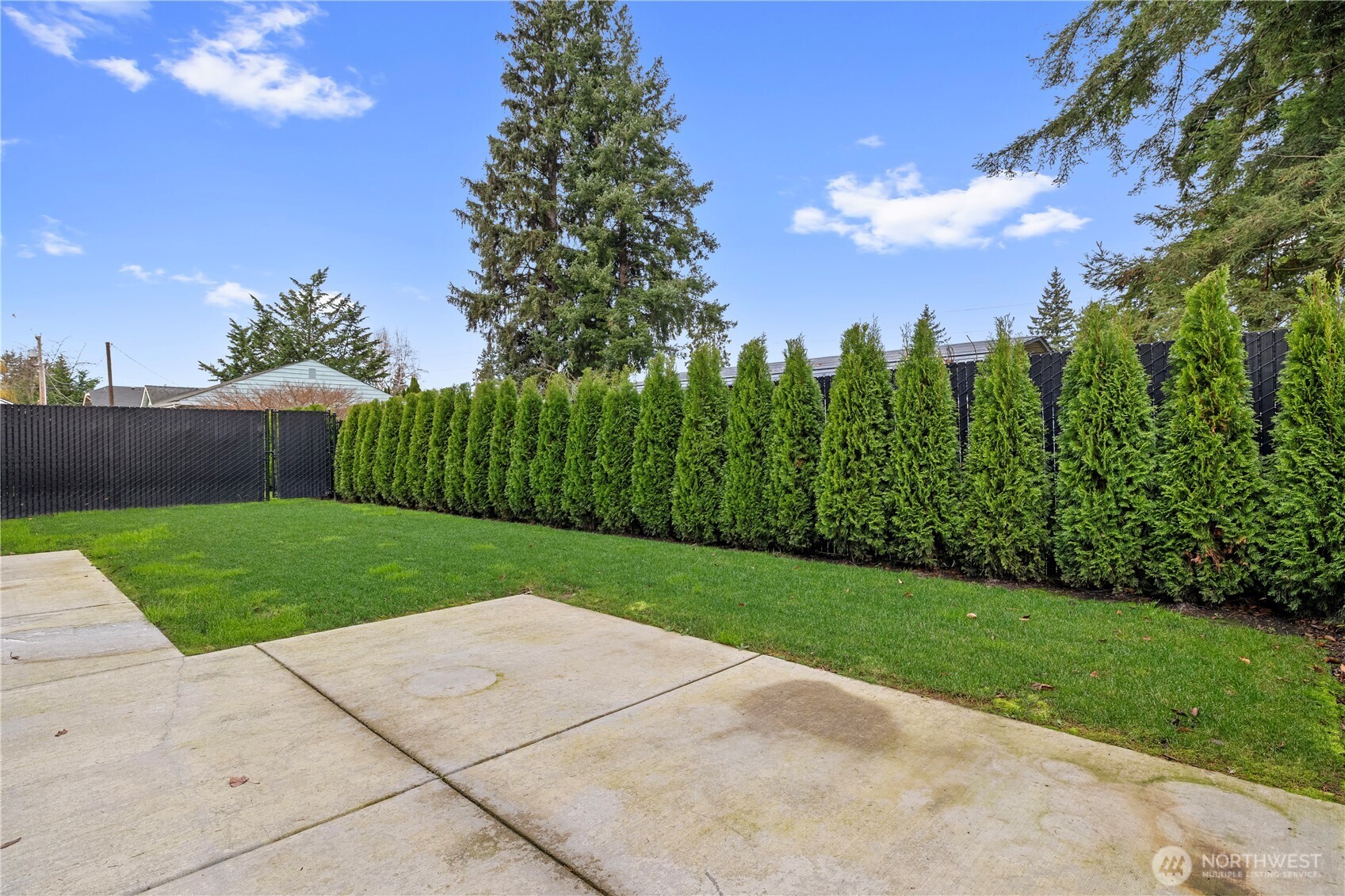 529 Ball Street, Unit A & B Sedro-Woolley, WA 98284 - Photo 25 of 31 a view of a garden with trees