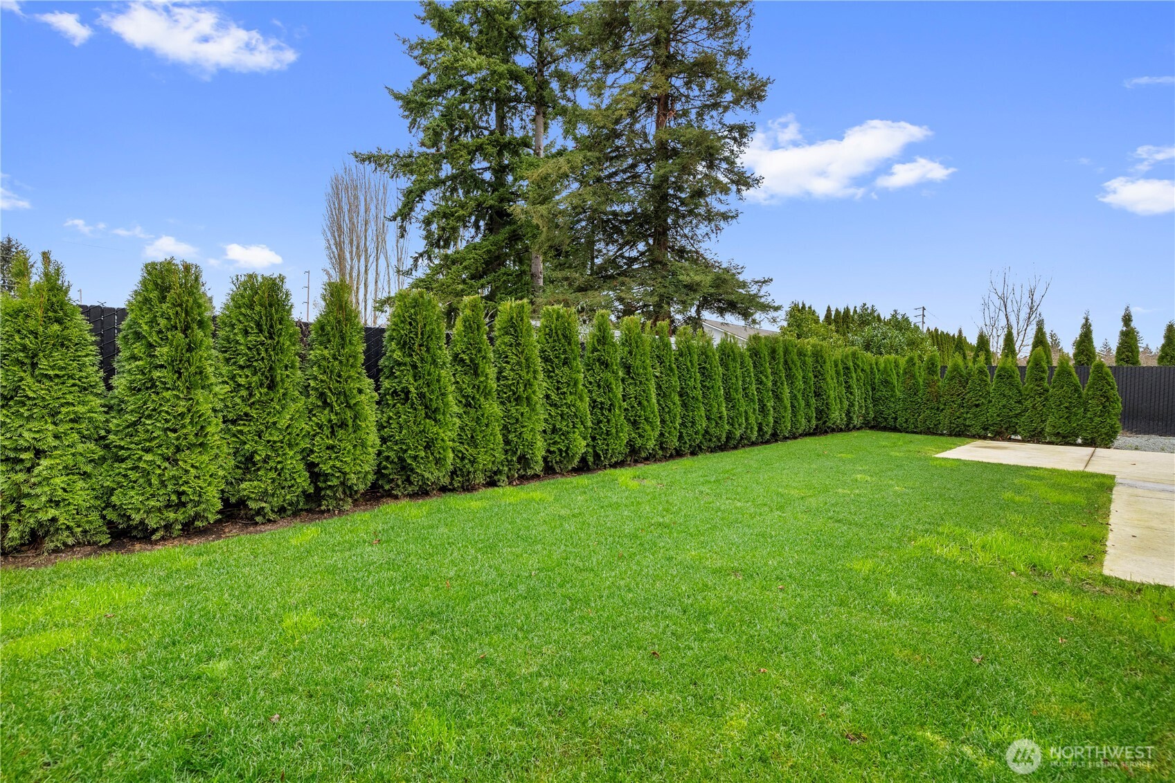 529 Ball Street, Unit A & B Sedro-Woolley, WA 98284 - Photo 27 of 31 a view of a yard with a tree