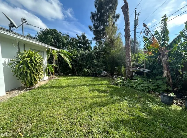 a view of a yard with plants and large trees