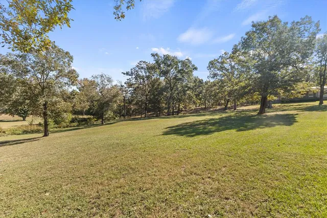 a view of a field with trees