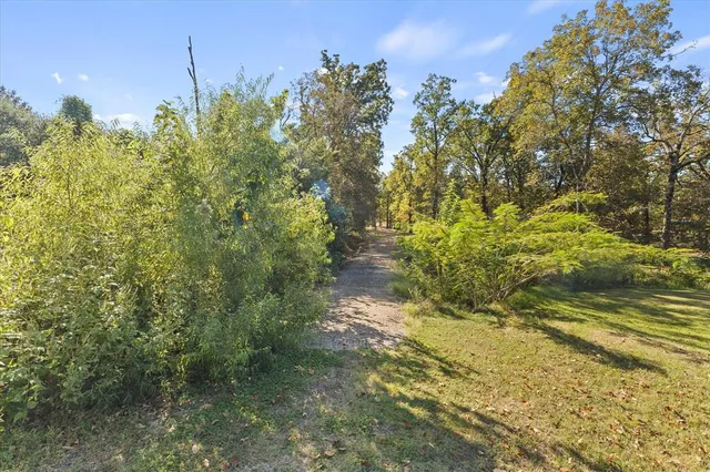 a view of outdoor space with deck and tree