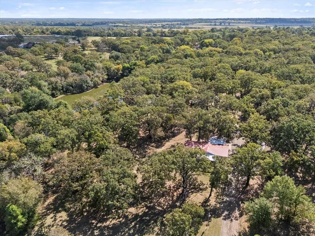a view of an ocean and trees