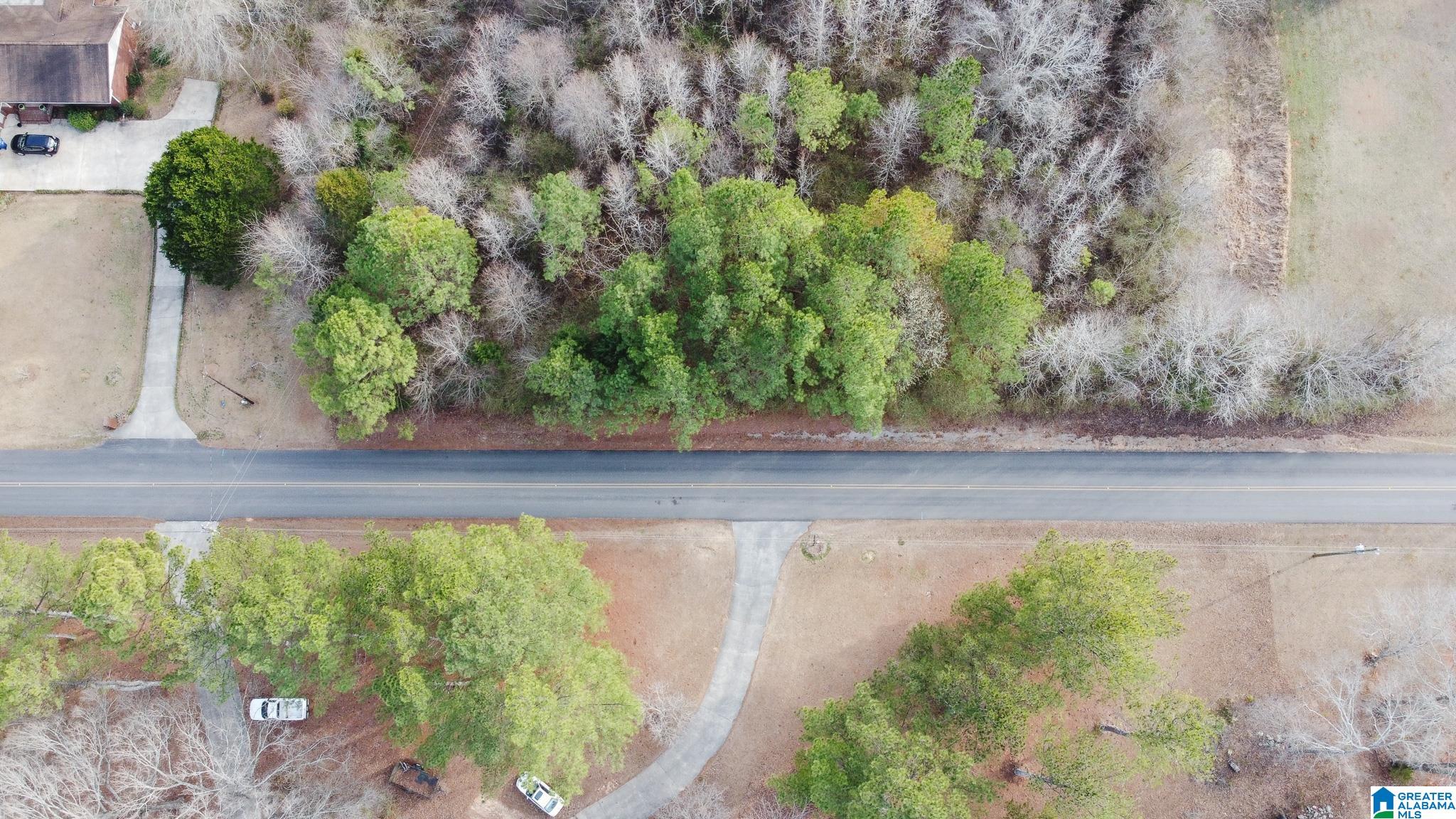 0 Deer Trace Road, Unit 30 Pell City, AL 35125 - Photo 7 of 11