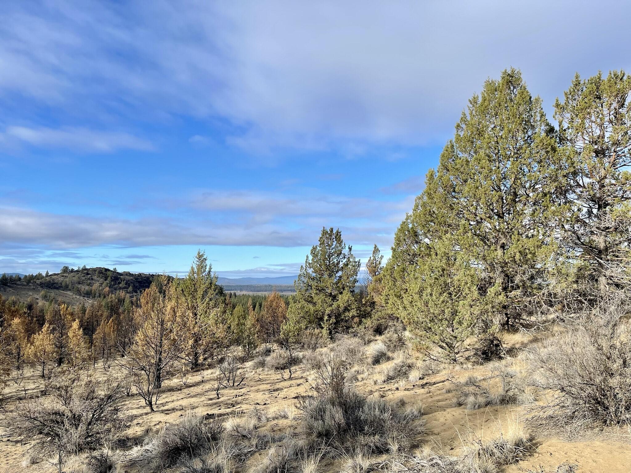 0 Godowa Springs Road, Unit 13 Beatty, OR 97621 - Photo 6 of 8 Hillside