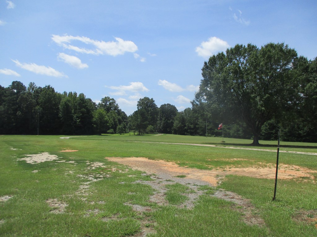 862 Highway 702 Chappells, SC 29037 - Photo 9 of 9