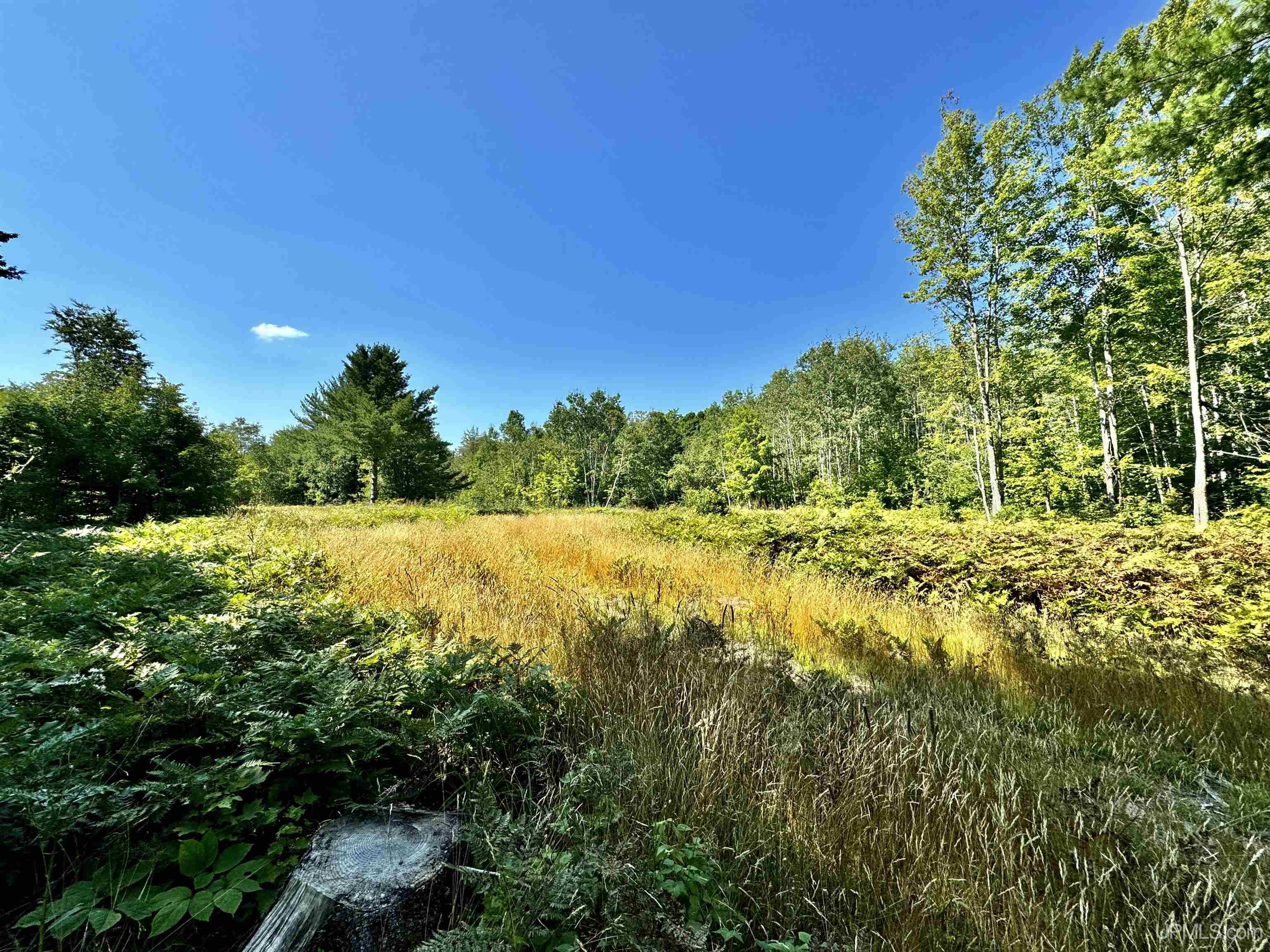 23867 Huron Road Skanee, MI 49962 - Photo 14 of 33 Gallery Image 14