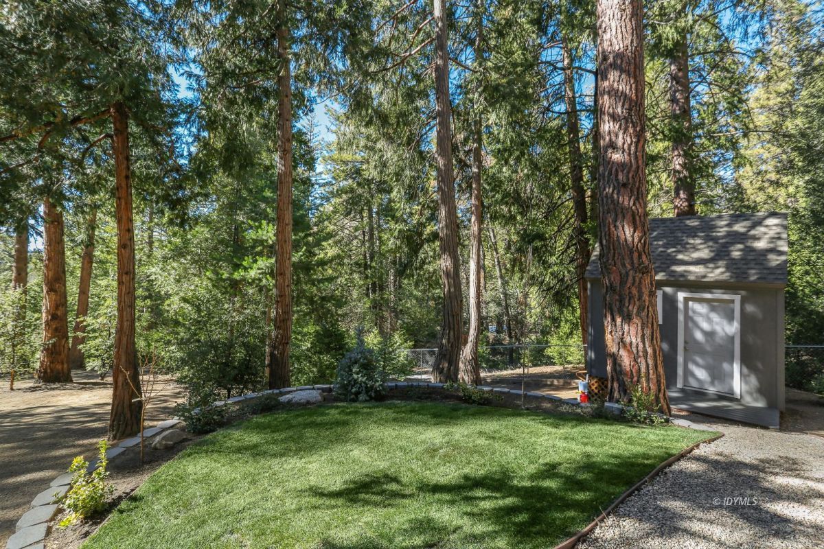 25905 Wayne Road Idyllwild, CA 92549 - Photo 40 of 47 a view of a tree in a backyard of a house