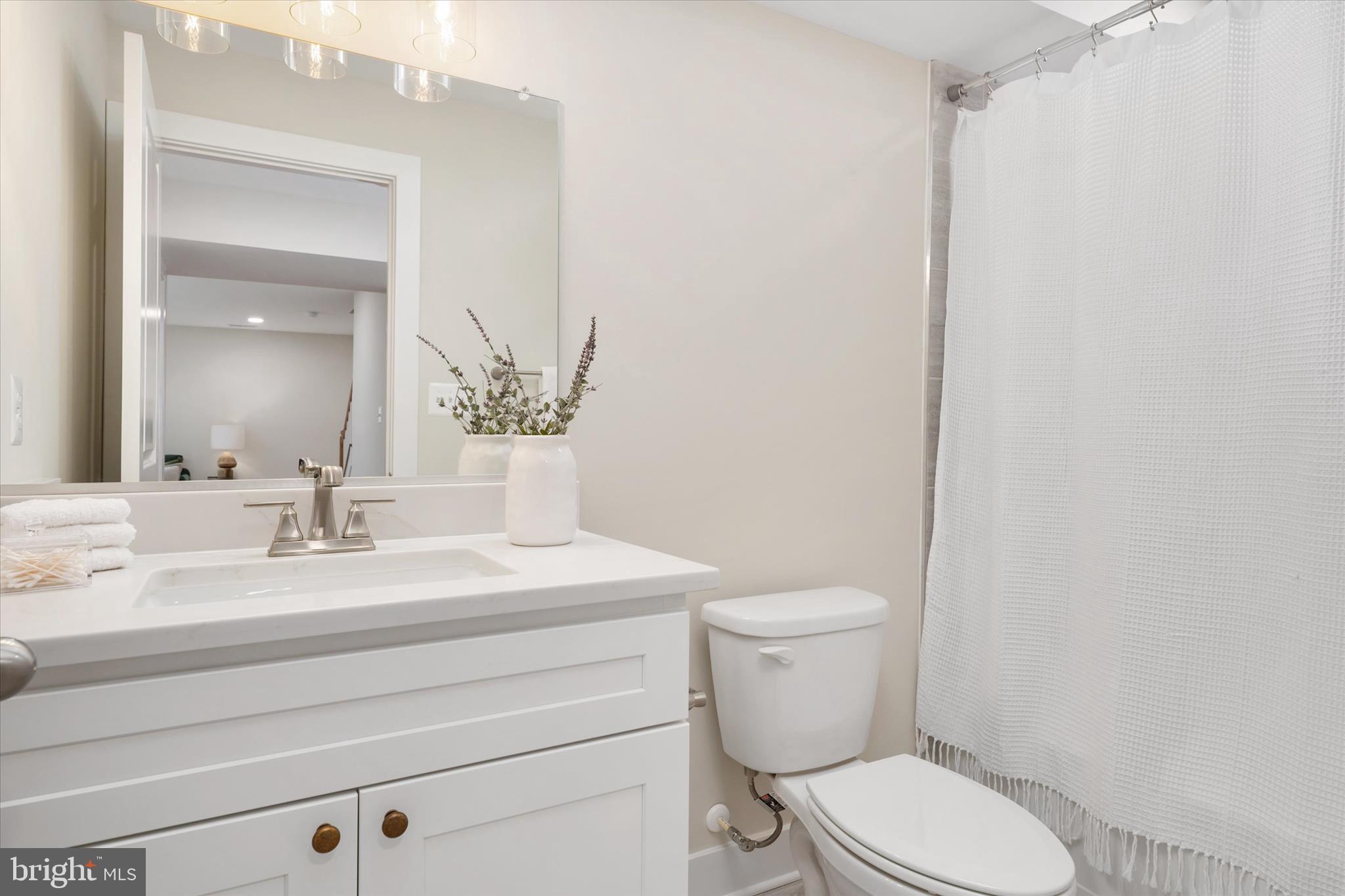 1252 Sunrise Beach Road Crownsville, MD 21032 - Photo 47 of 90 Basement full bath