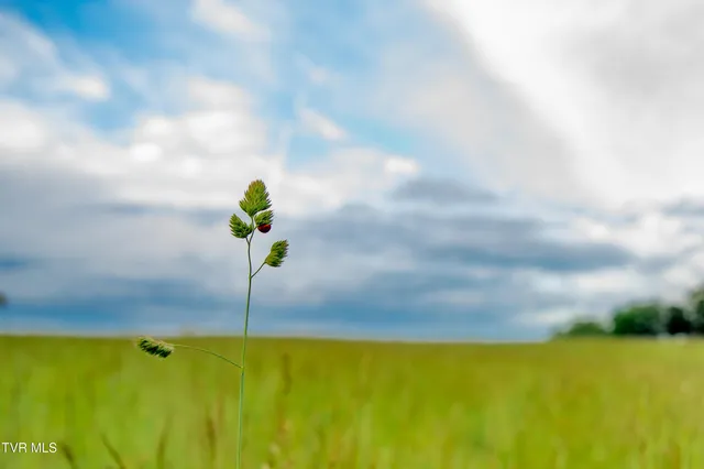 $400,000 | 3 & 4 Limestone Tn 37681, Unit B, Limestone, TN 37681