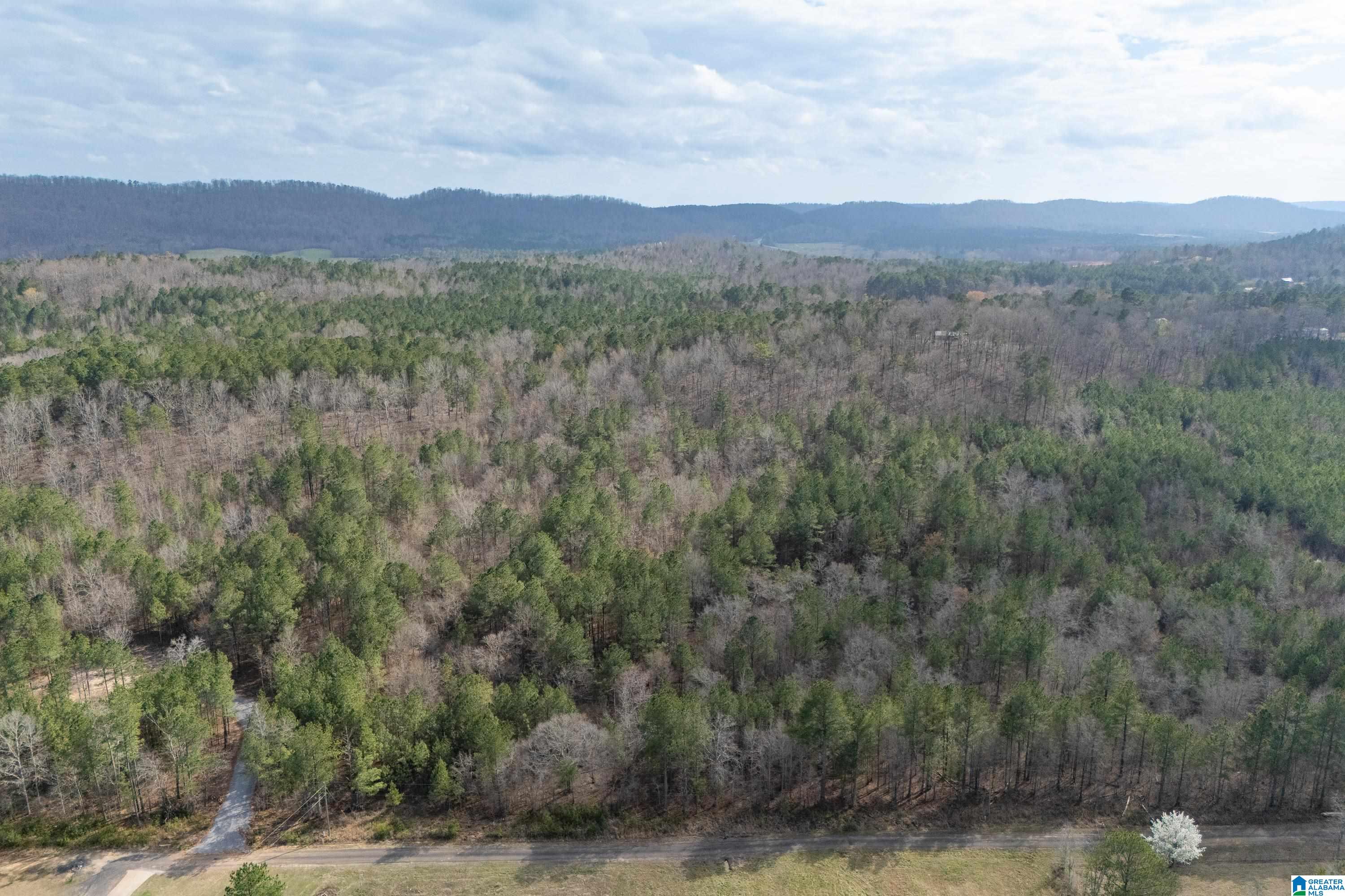 7 Fisher Phillips, Unit 7 Ashville, AL 35953 - Photo 12 of 28