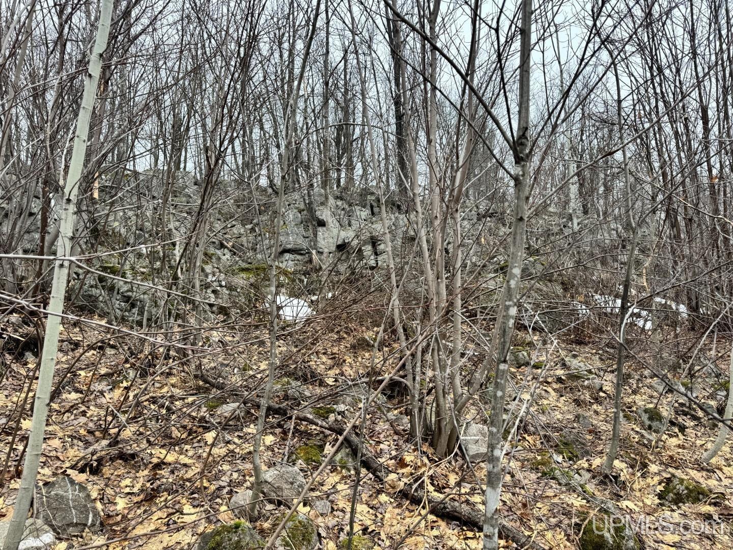 280-acres Off Pikes Peak Road Lanse, MI 49946 - Photo 7 of 21