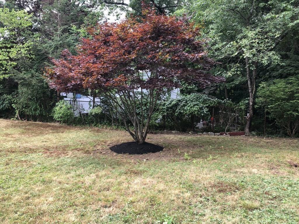 52 Stickney Road Medford, MA 02155 - Photo 8 of 30 Gallery Image 8