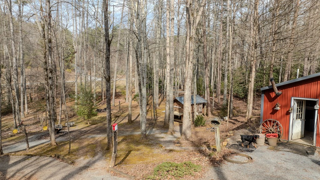 2130 Hedden Road Murphy, NC 28906 - Photo 10 of 53