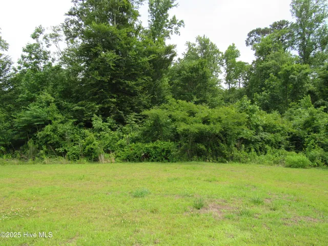 $1,675 | 136 Laredo Drive, Jacksonville, NC 28540