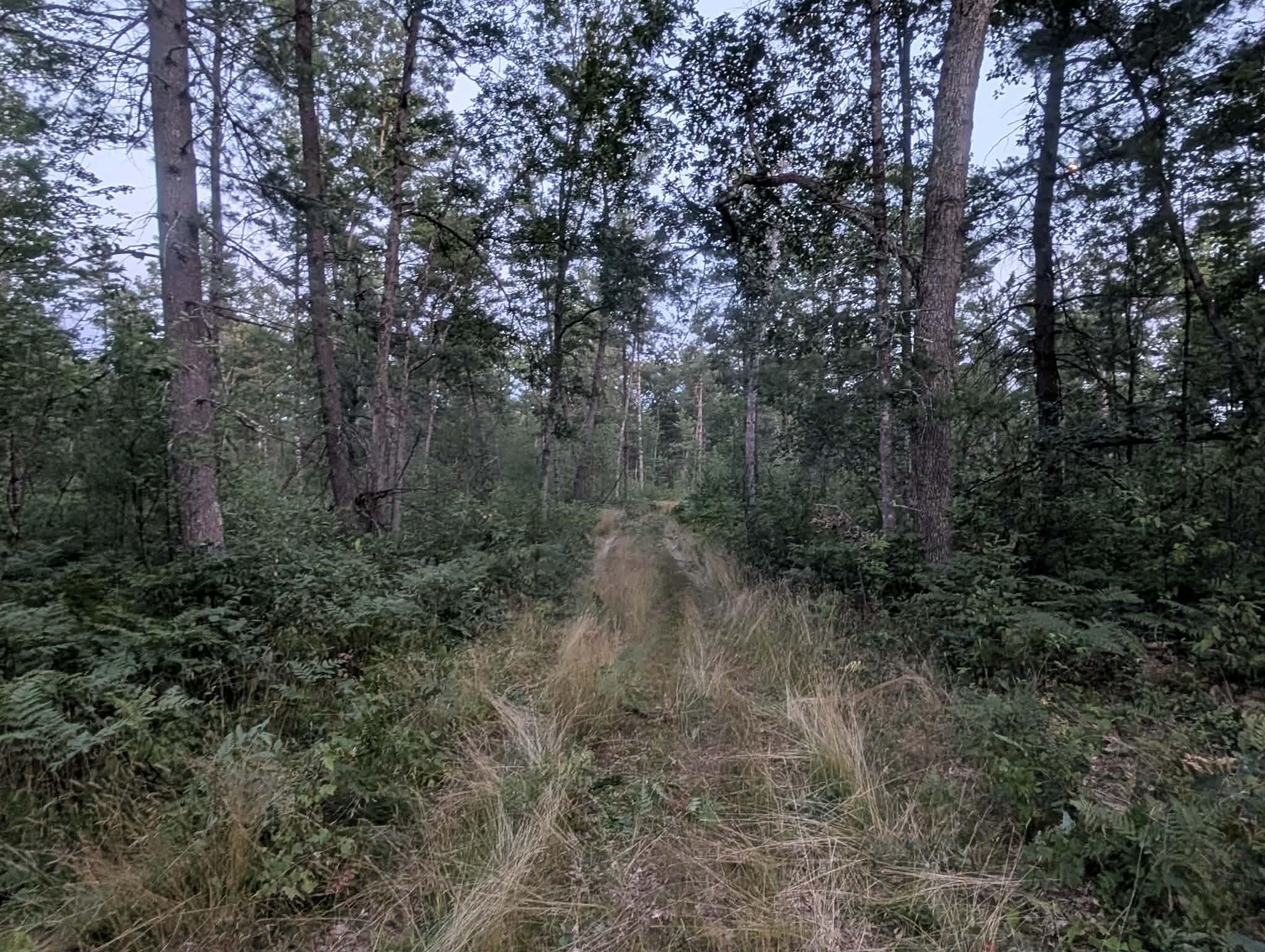 48 West 48 1/2 Road Wellston, MI 49689 - Photo 9 of 12 1948446-004bdf60-e12b-4c00-81dd-c618b3f3ea92.JPG