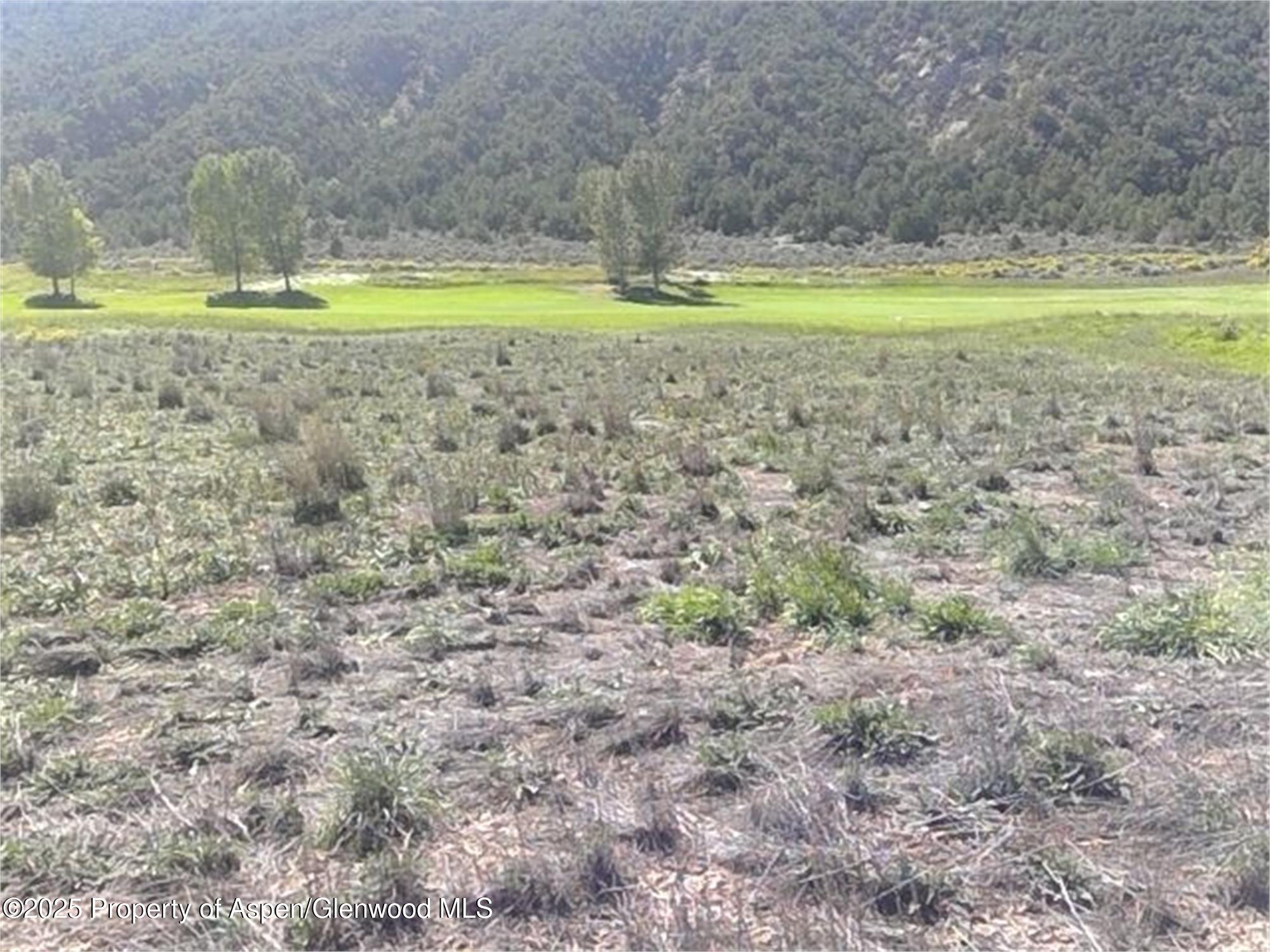 a view of a swimming pool with a yard